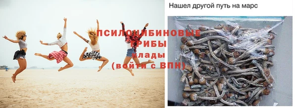 гашик Михайловск