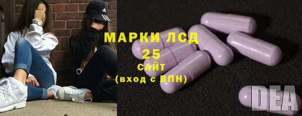 гашик Михайловск