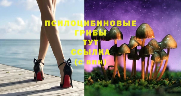 гашик Михайловск