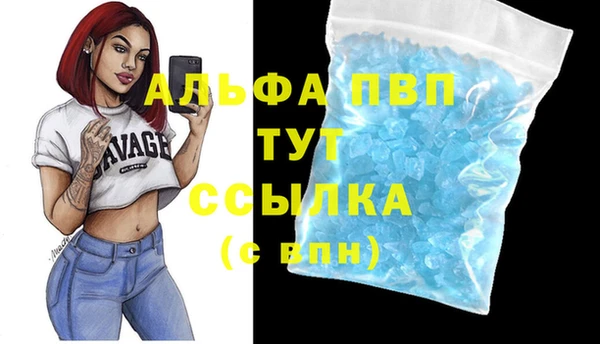 гашик Михайловск