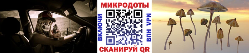 Галлюциногенные грибы мицелий  Острогожск 