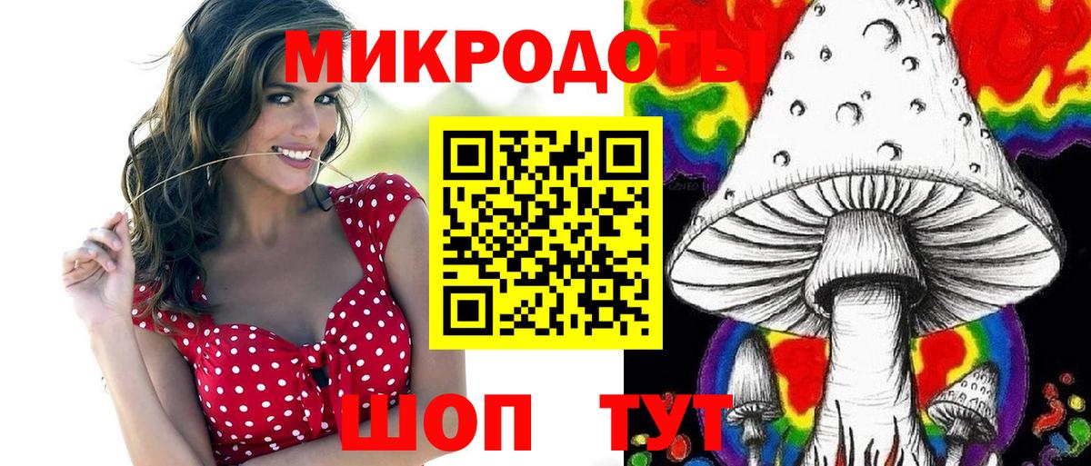 Псилоцибиновые грибы мицелий Острогожск