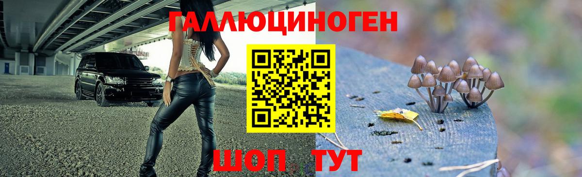 Псилоцибиновые грибы GOLDEN TEACHER  Вход с VPN  Псилоцибиновые грибы мицелий  Острогожск 